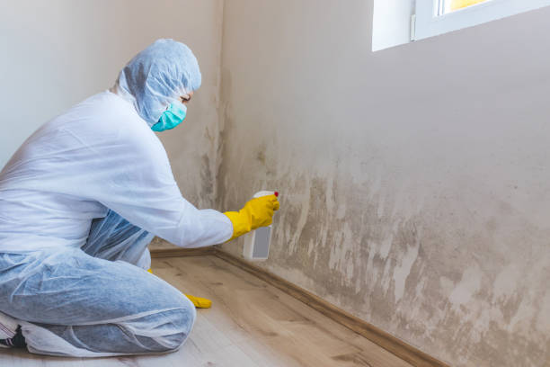 Licensed Crawl Space Mold Removal service in Clark, NJ - WQB Mold Removal
