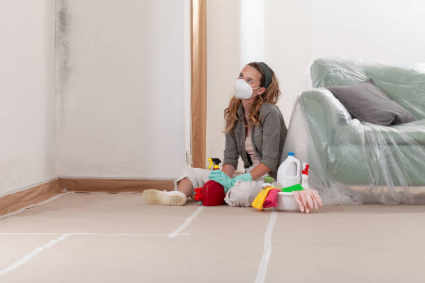 Reliable Crawl Space Mold Removal contractor in Clark, NJ by WQB Mold Removal
